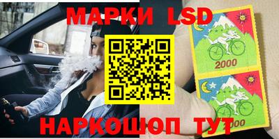 спиды Боровичи