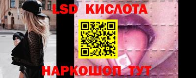 прущие грибы Брянск