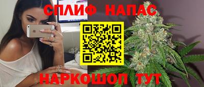 прущие грибы Брянск