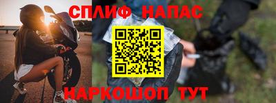 прущие грибы Брянск