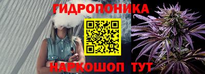 прущие грибы Брянск