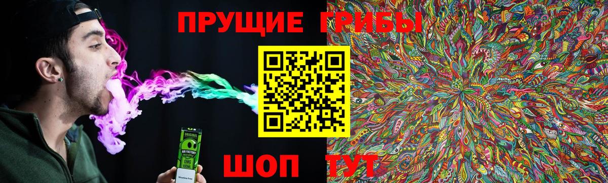 Новоуральск  Галлюциногенные грибы Magic Shrooms  Вход с VPN 